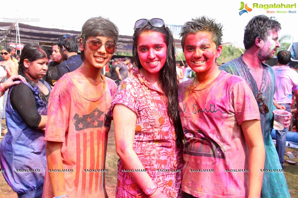 Bang Bang Holi Fest 2015 at Novotel, Hyderabad