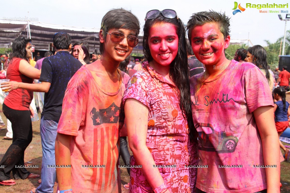 Bang Bang Holi Fest 2015 at Novotel, Hyderabad