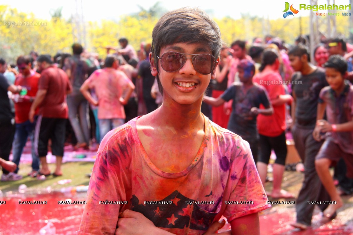 Bang Bang Holi Fest 2015 at Novotel, Hyderabad