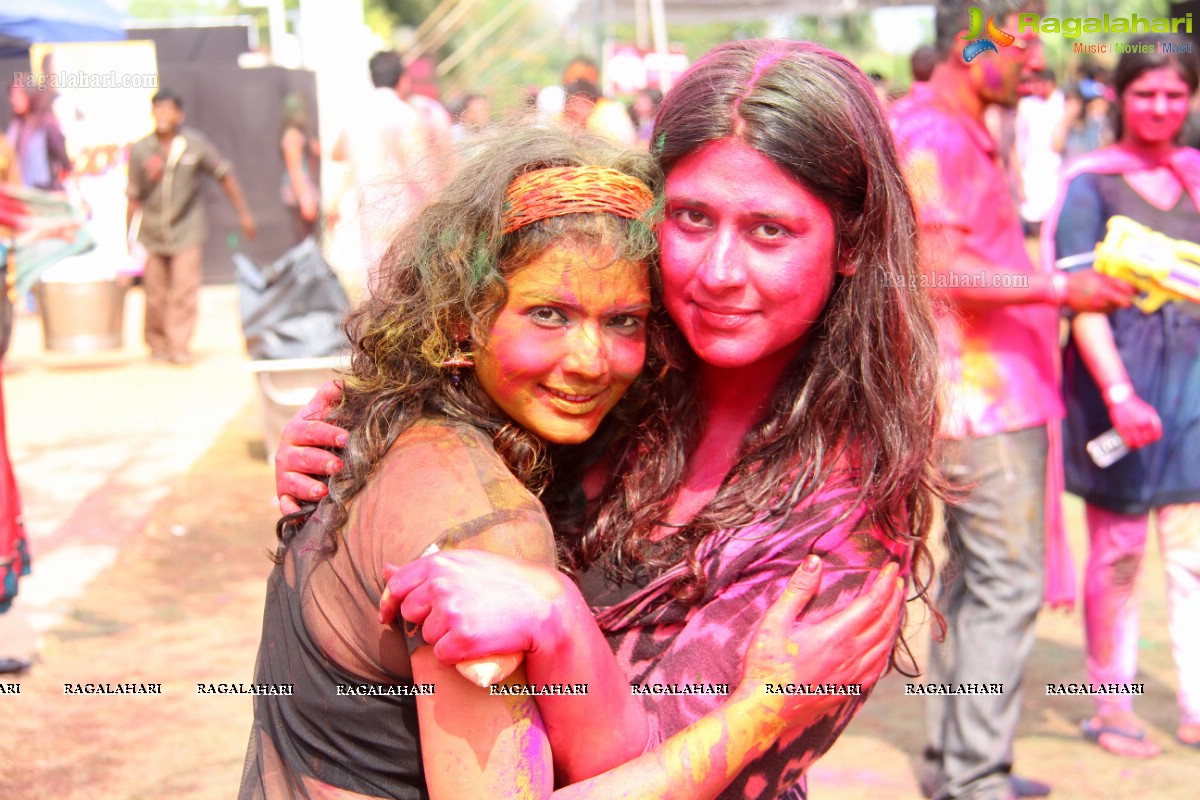 Bang Bang Holi Fest 2015 at Novotel, Hyderabad