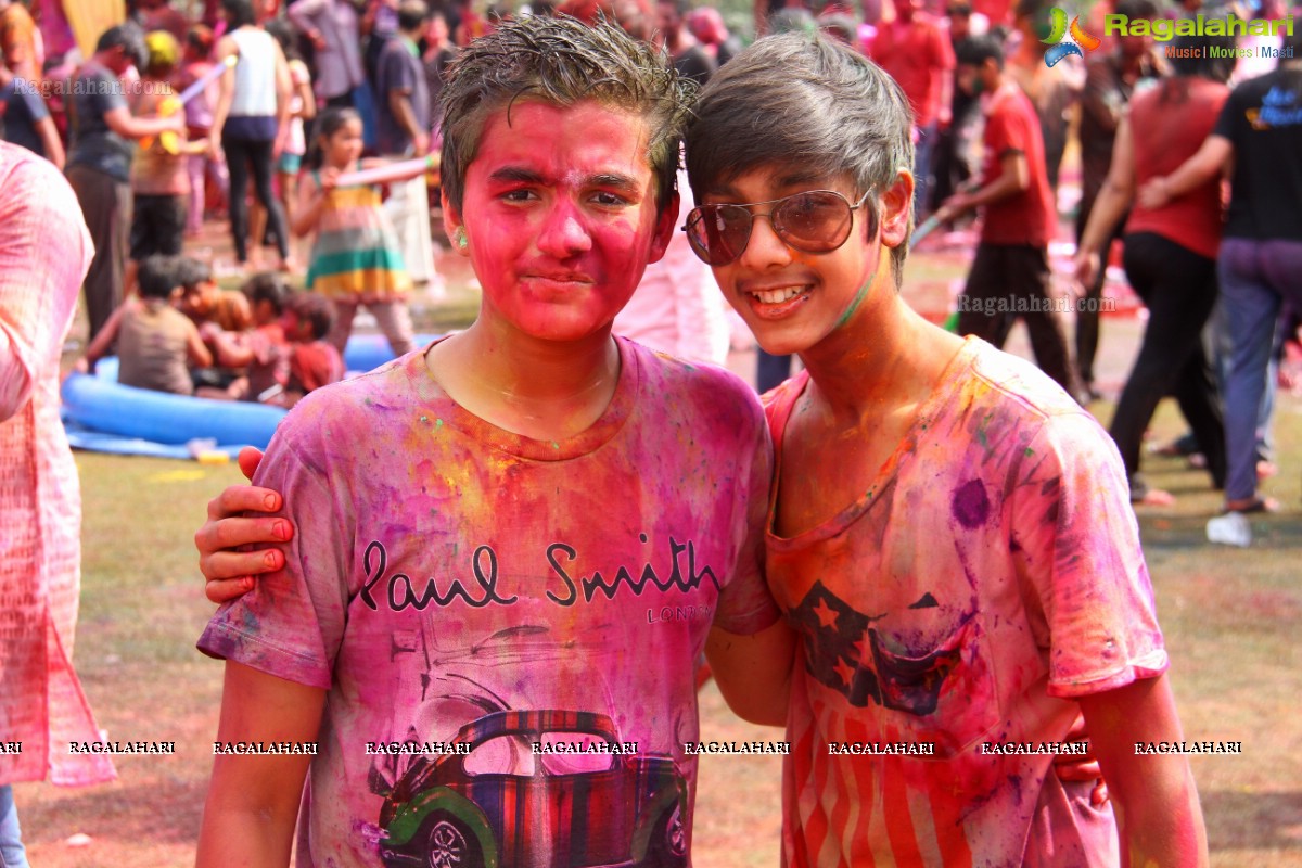 Bang Bang Holi Fest 2015 at Novotel, Hyderabad