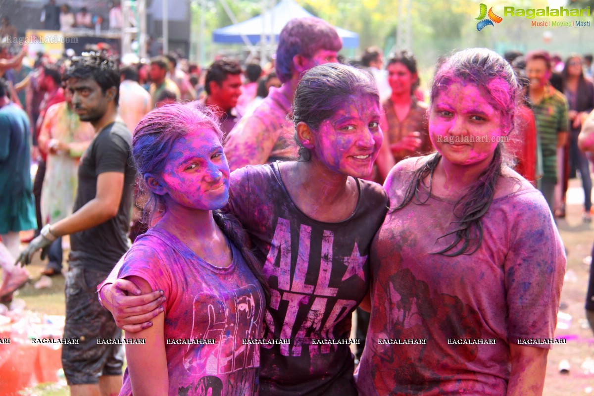 Bang Bang Holi Fest 2015 at Novotel, Hyderabad