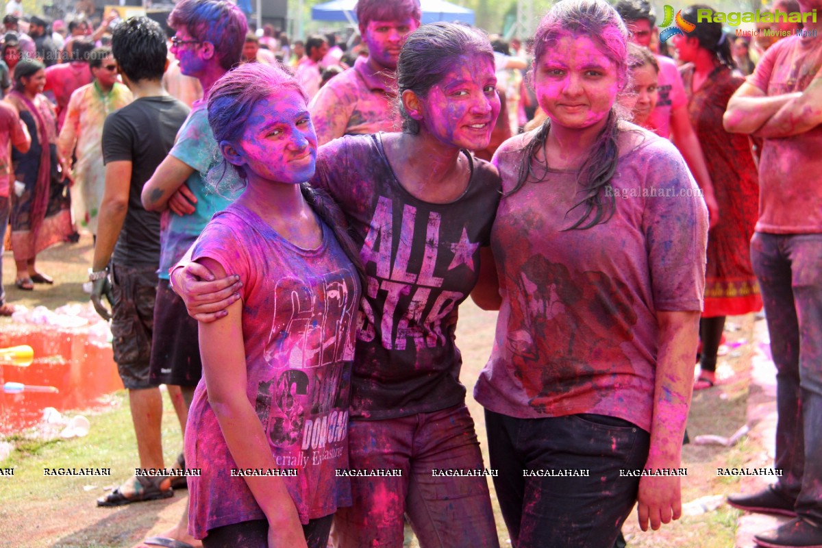 Bang Bang Holi Fest 2015 at Novotel, Hyderabad