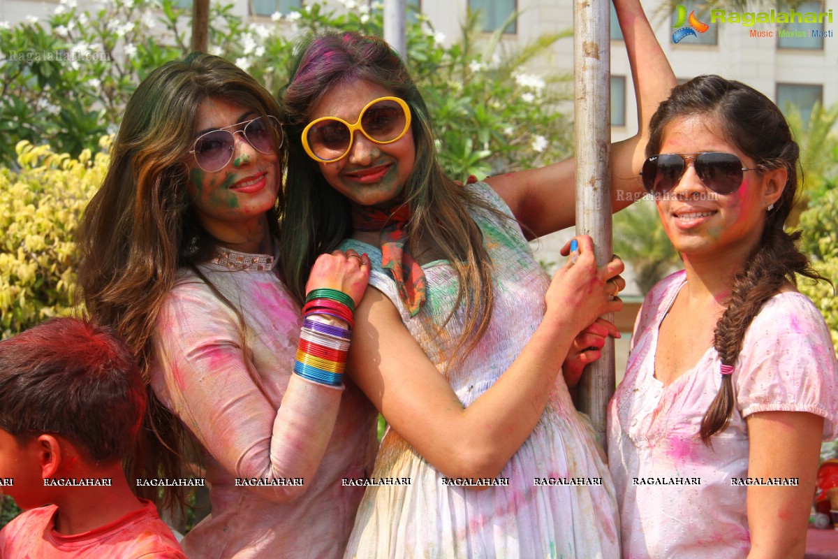 Bang Bang Holi Fest 2015 at Novotel, Hyderabad