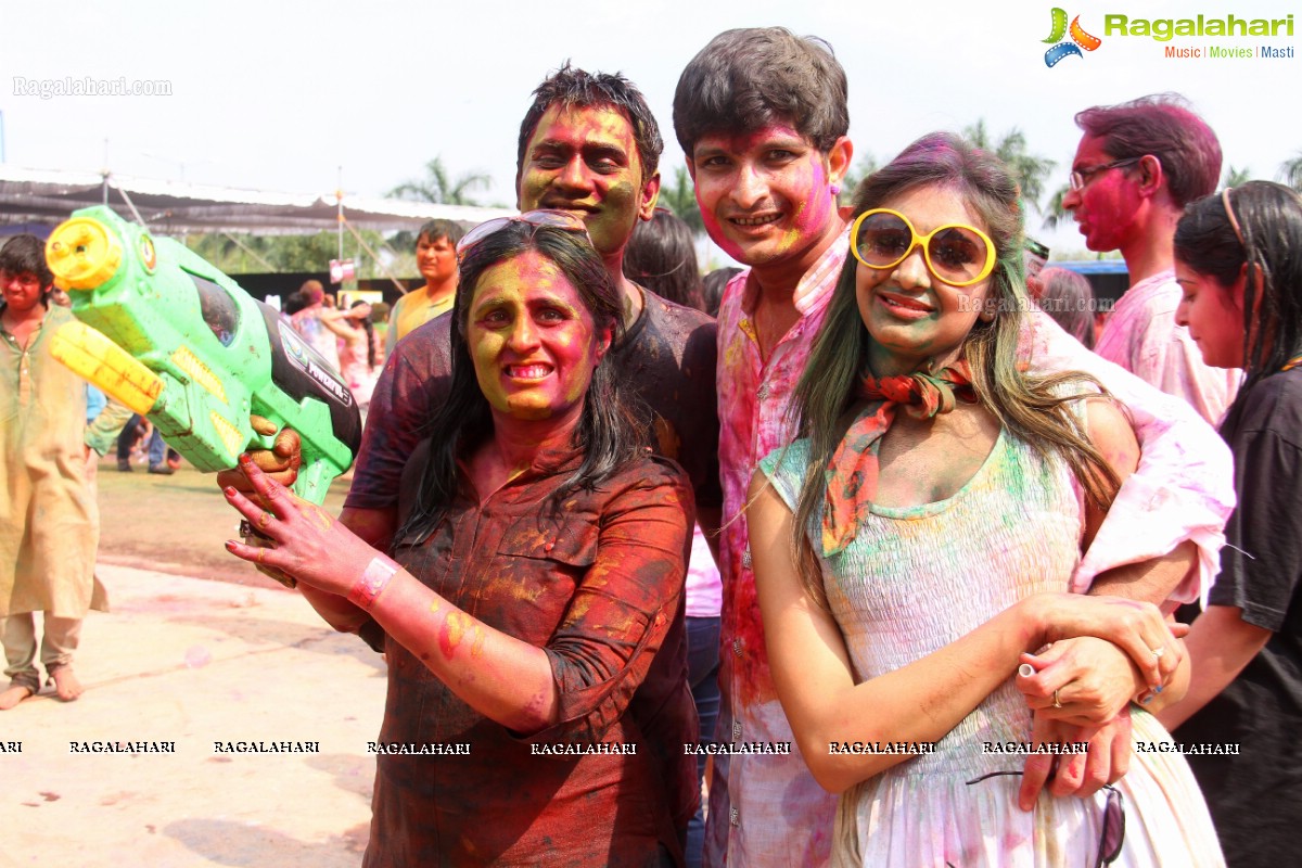 Bang Bang Holi Fest 2015 at Novotel, Hyderabad