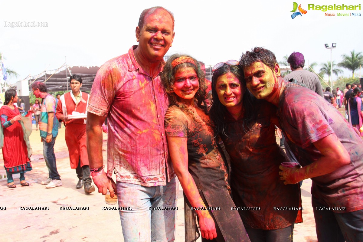 Bang Bang Holi Fest 2015 at Novotel, Hyderabad