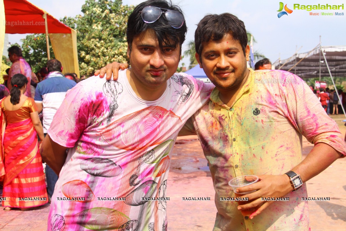 Bang Bang Holi Fest 2015 at Novotel, Hyderabad