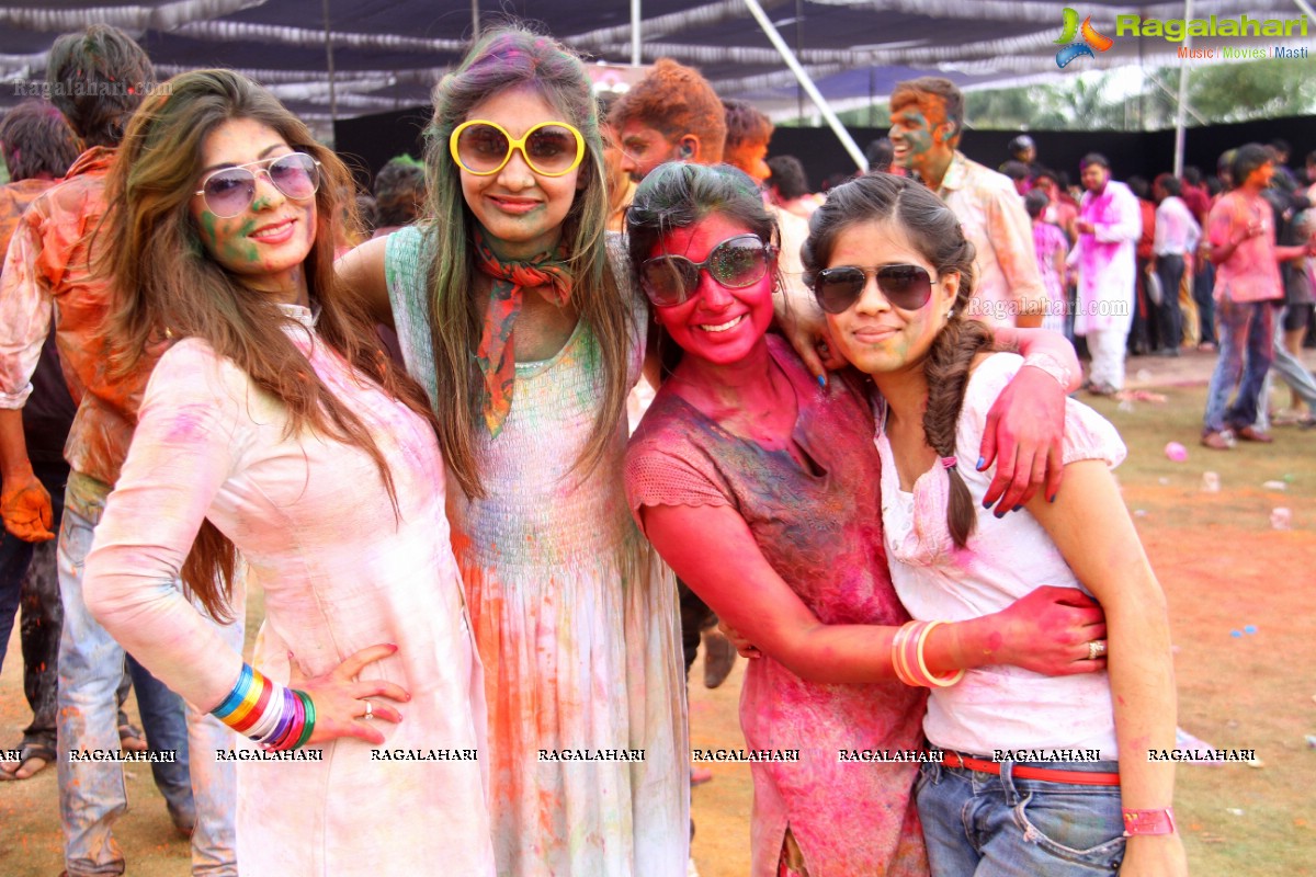 Bang Bang Holi Fest 2015 at Novotel, Hyderabad