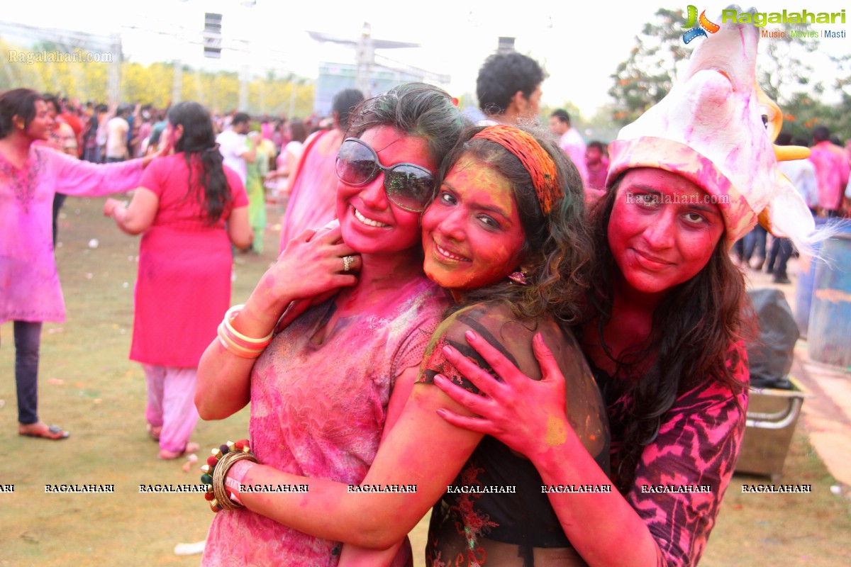 Bang Bang Holi Fest 2015 at Novotel, Hyderabad