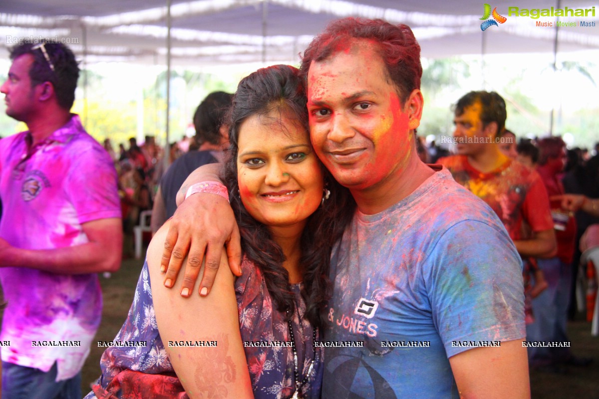 Bang Bang Holi Fest 2015 at Novotel, Hyderabad