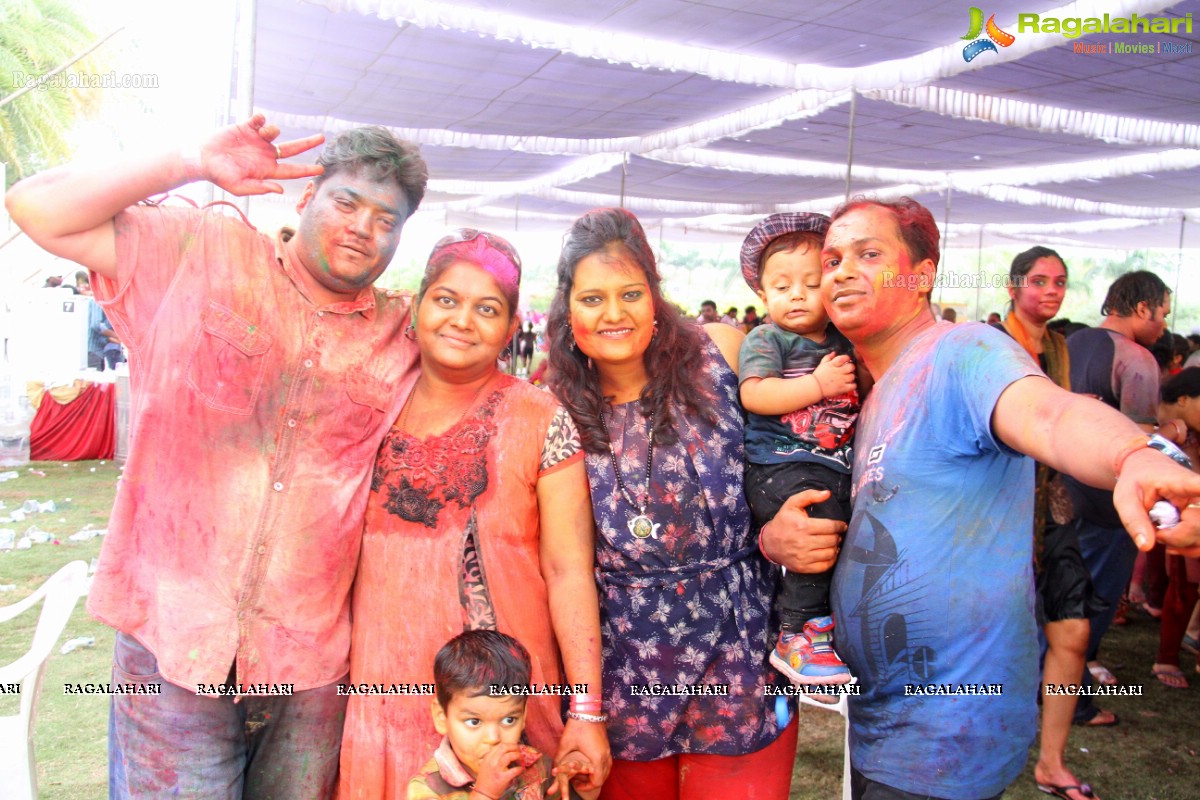 Bang Bang Holi Fest 2015 at Novotel, Hyderabad