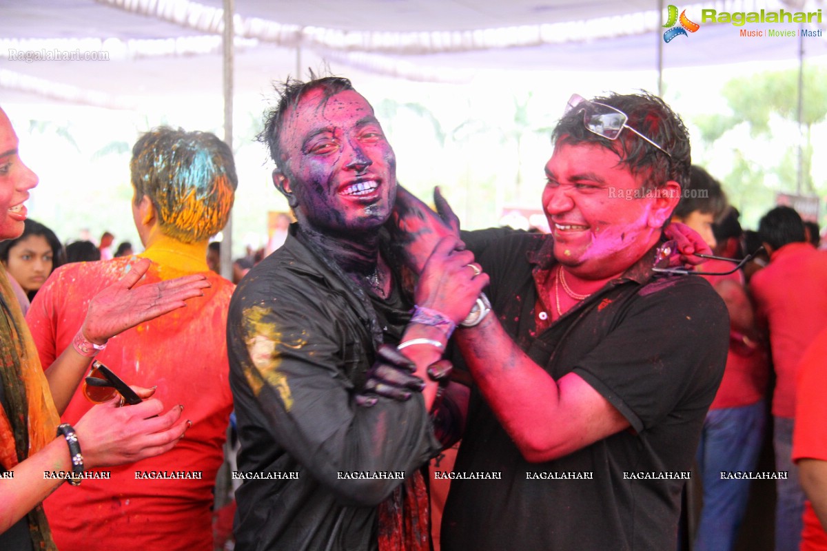 Bang Bang Holi Fest 2015 at Novotel, Hyderabad