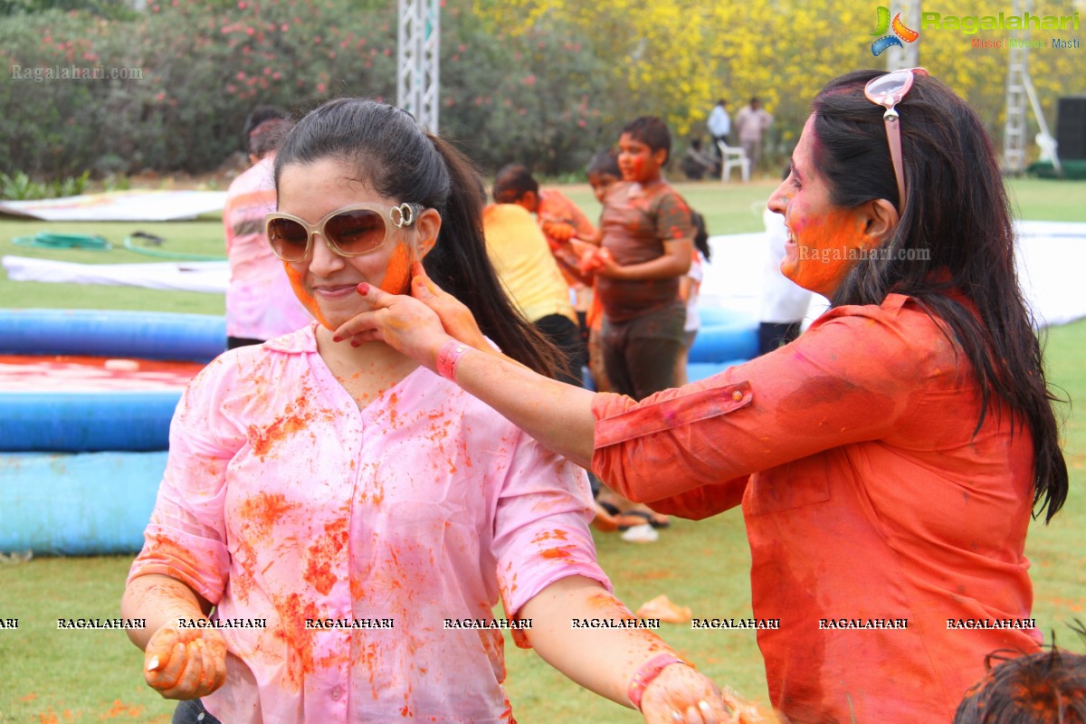 Bang Bang Holi Fest 2015 at Novotel, Hyderabad