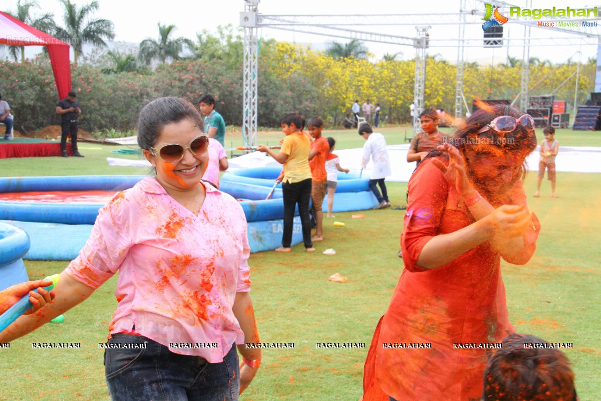 Bang Bang Holi Fest 2015 at Novotel, Hyderabad