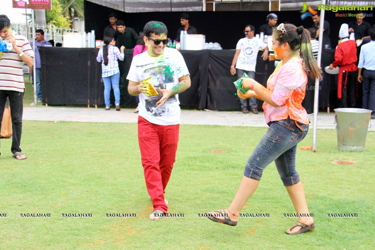 Bang Bang Holi Fest 2015 at Novotel, Hyderabad