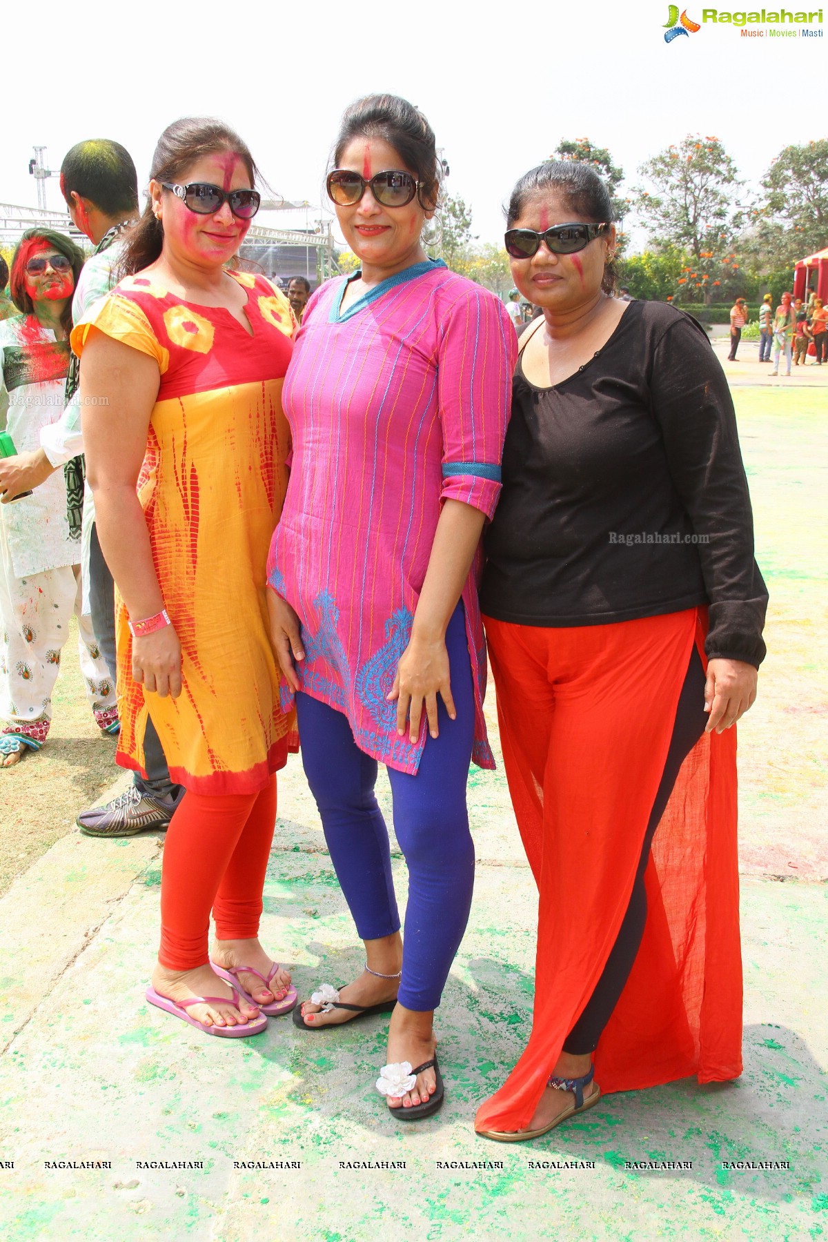 Bang Bang Holi Fest 2015 at Novotel, Hyderabad