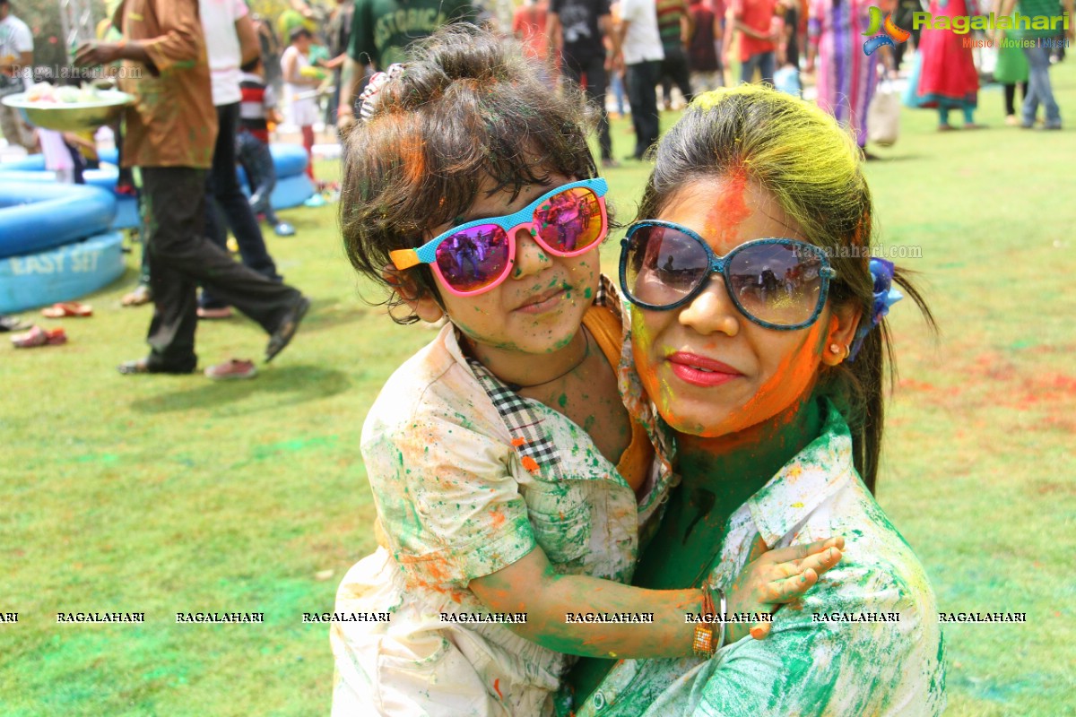 Bang Bang Holi Fest 2015 at Novotel, Hyderabad