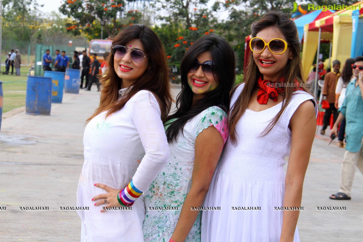 Bang Bang Holi Fest 2015 at Novotel, Hyderabad