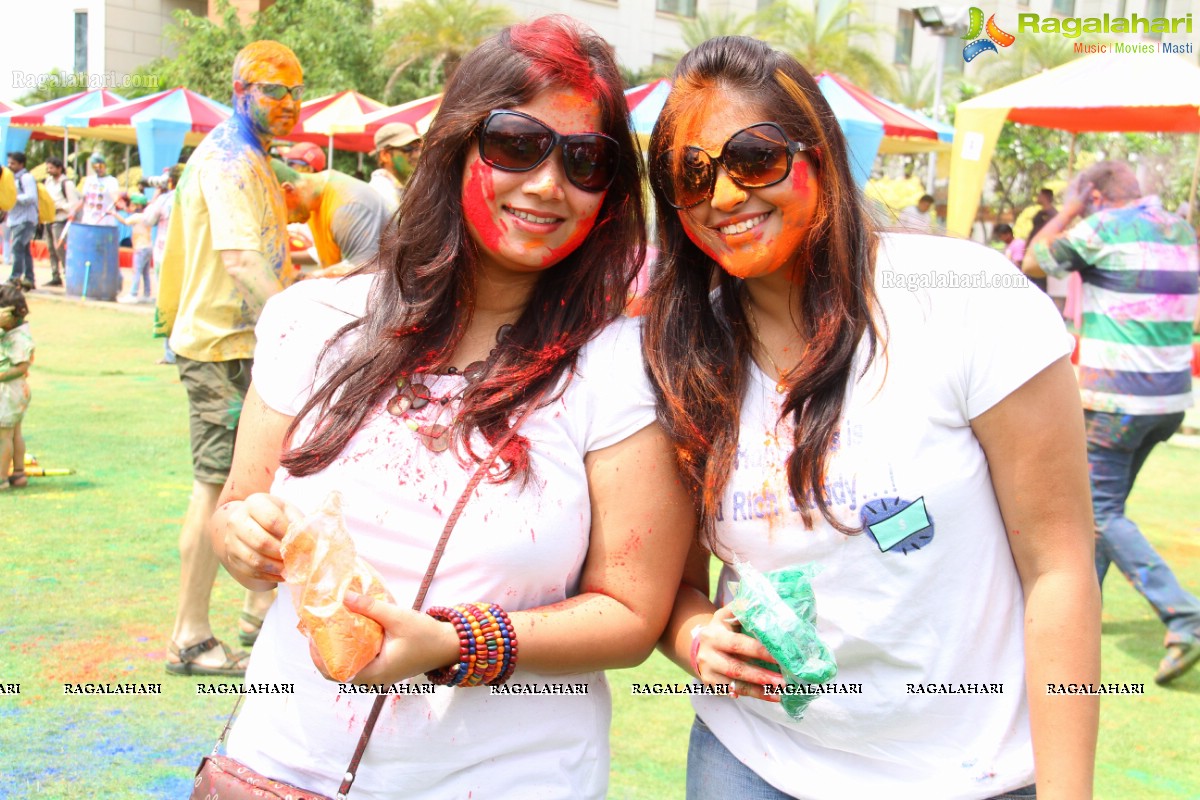 Bang Bang Holi Fest 2015 at Novotel, Hyderabad