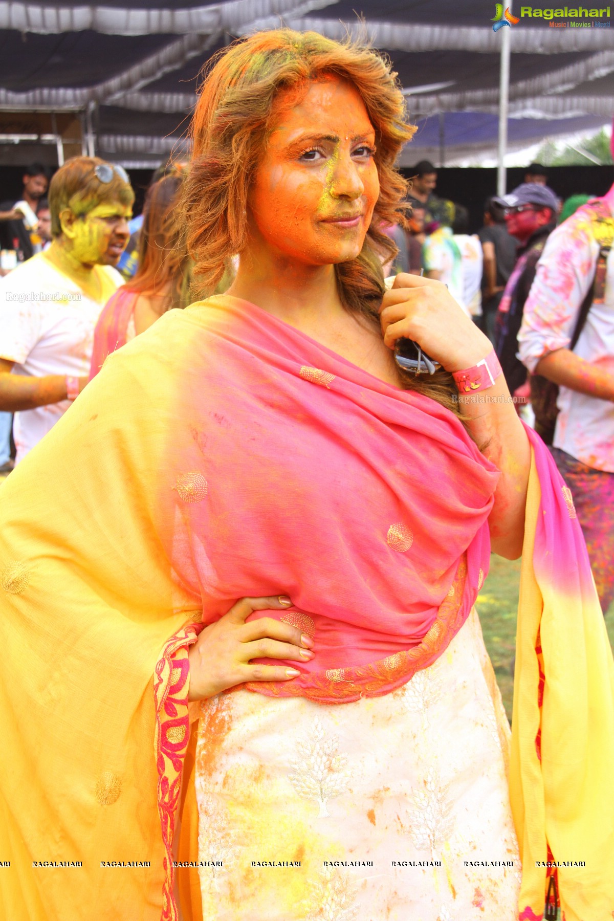 Bang Bang Holi Fest 2015 at Novotel, Hyderabad