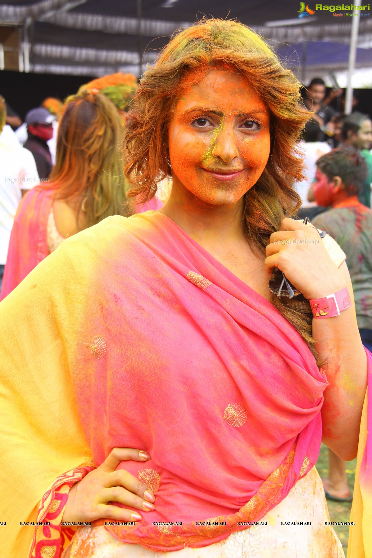 Bang Bang Holi Fest 2015 at Novotel, Hyderabad