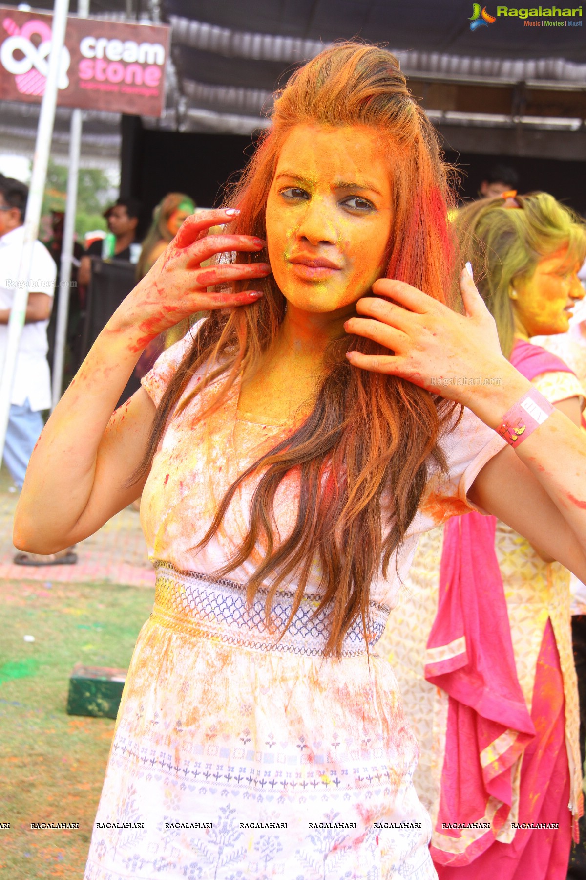 Bang Bang Holi Fest 2015 at Novotel, Hyderabad