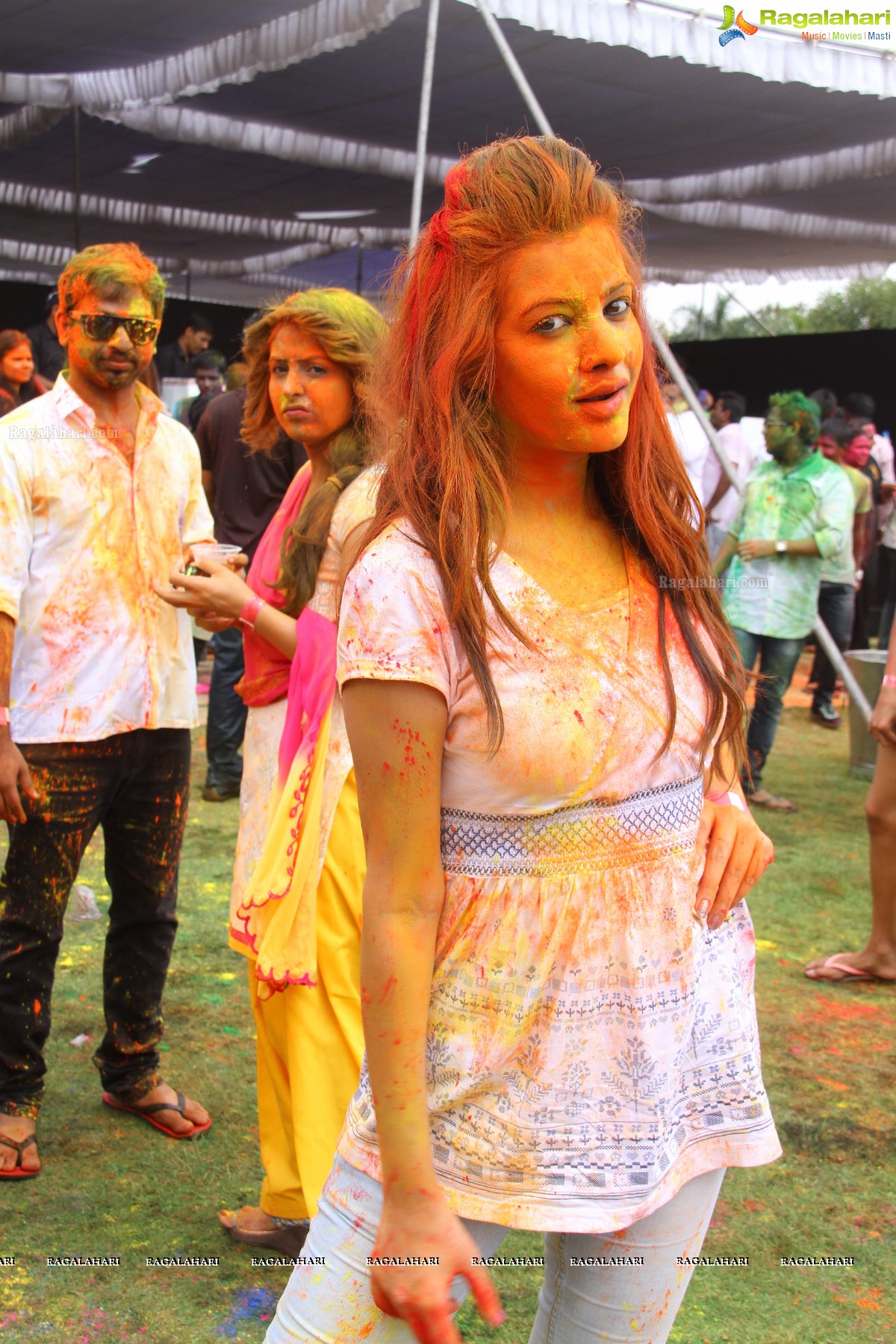 Bang Bang Holi Fest 2015 at Novotel, Hyderabad