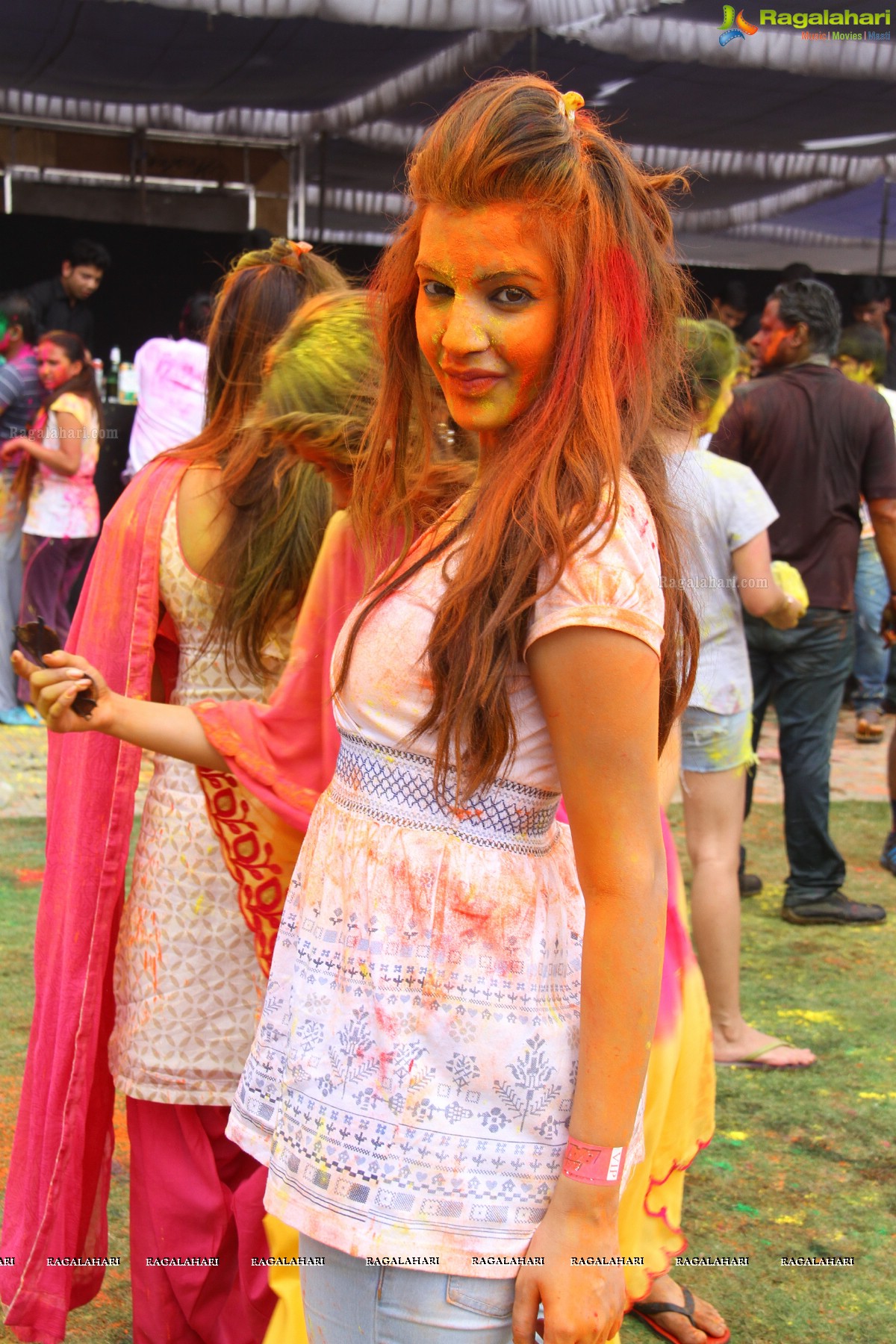 Bang Bang Holi Fest 2015 at Novotel, Hyderabad