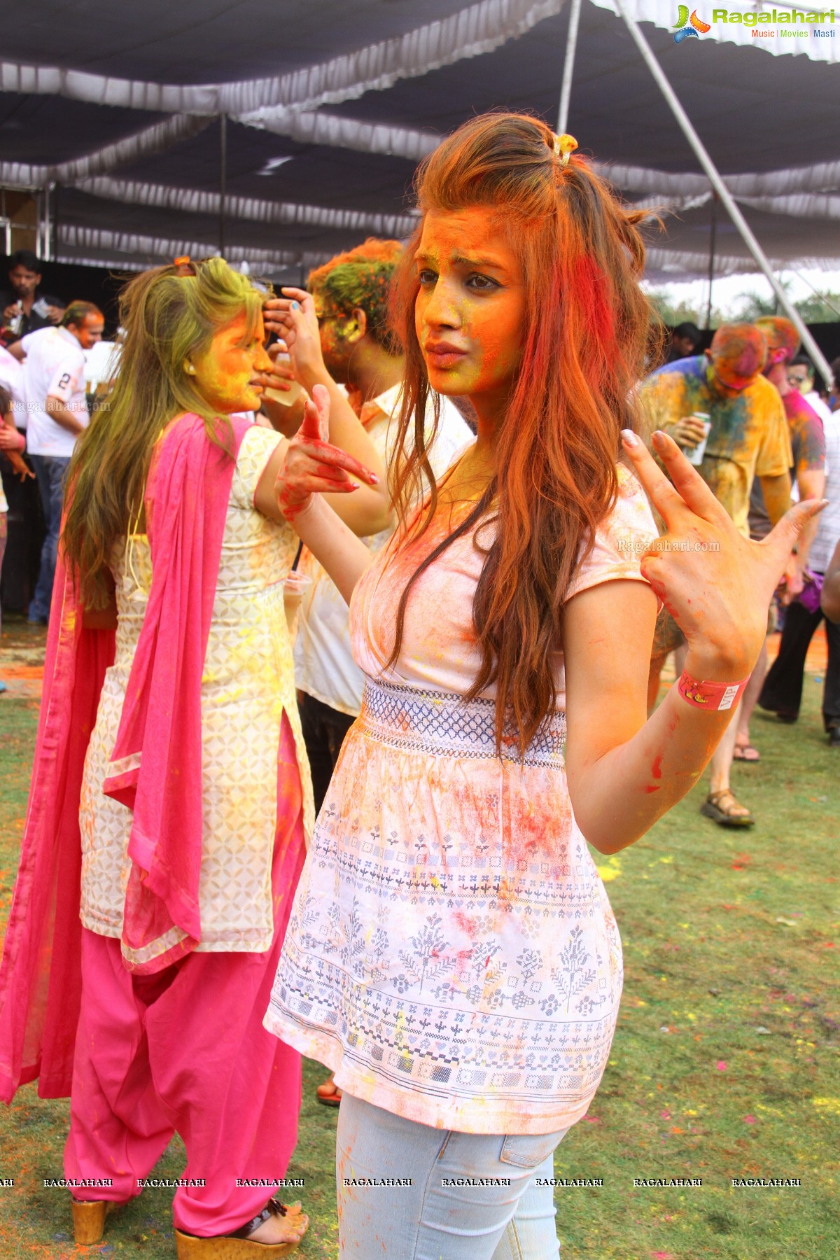 Bang Bang Holi Fest 2015 at Novotel, Hyderabad