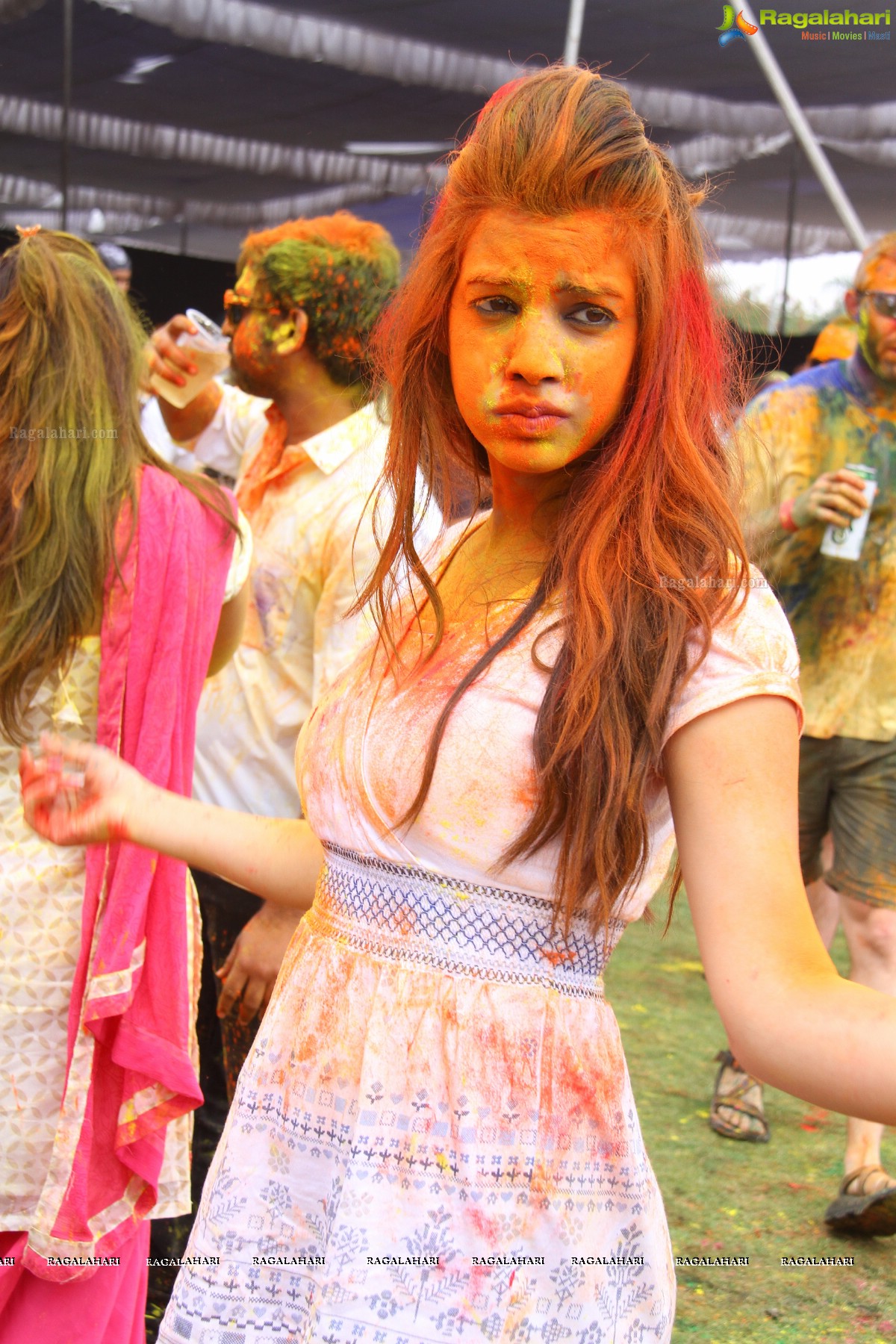 Bang Bang Holi Fest 2015 at Novotel, Hyderabad