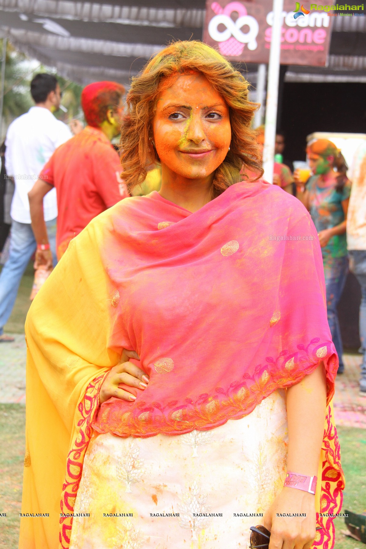 Bang Bang Holi Fest 2015 at Novotel, Hyderabad