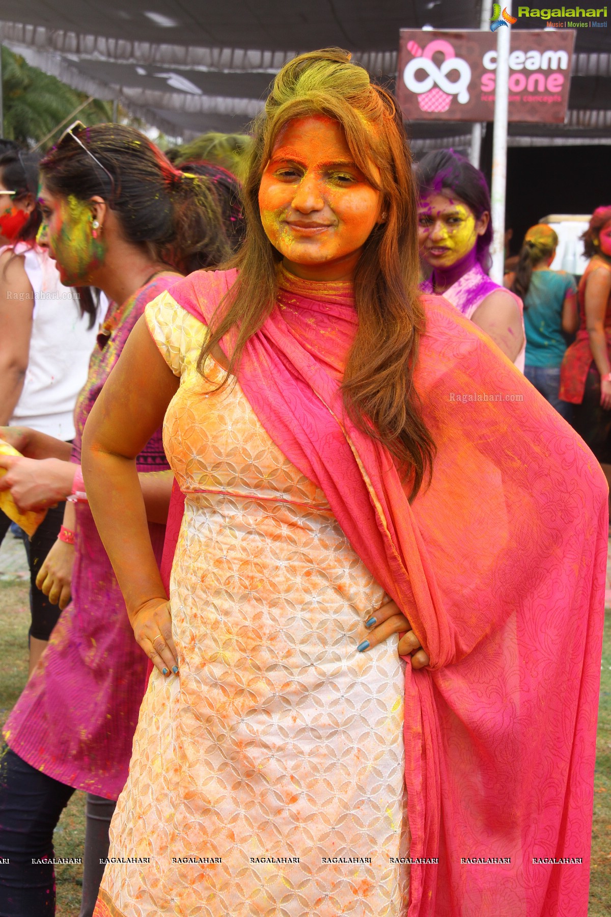 Bang Bang Holi Fest 2015 at Novotel, Hyderabad