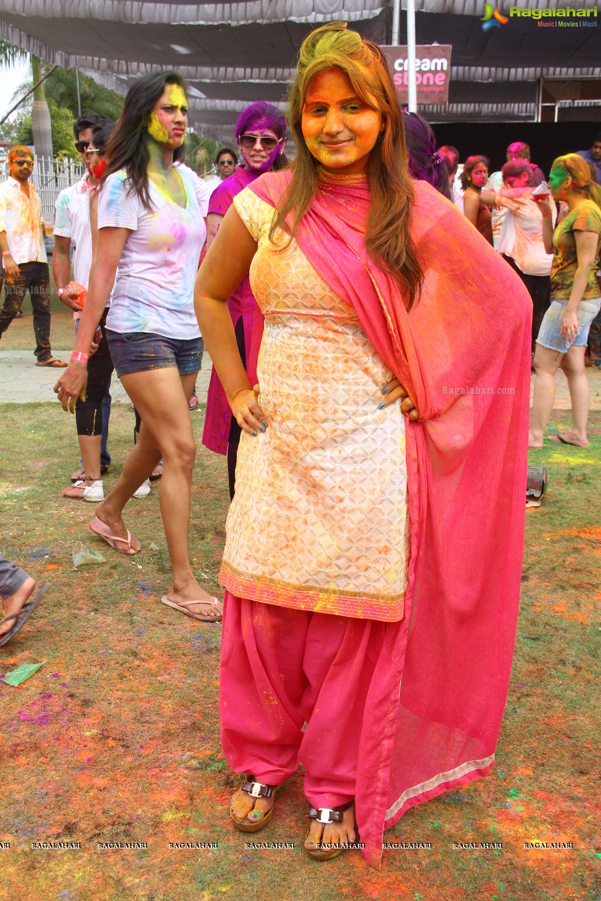 Bang Bang Holi Fest 2015 at Novotel, Hyderabad