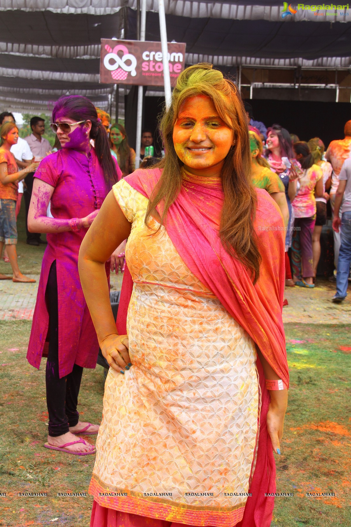 Bang Bang Holi Fest 2015 at Novotel, Hyderabad