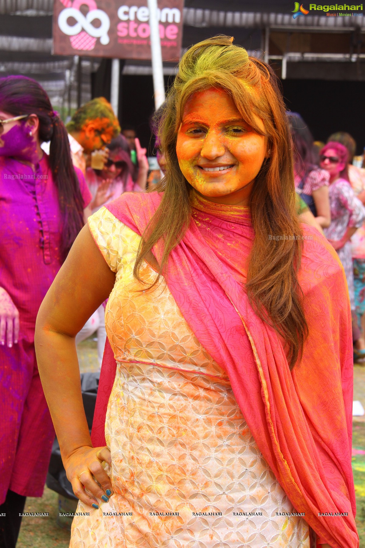 Bang Bang Holi Fest 2015 at Novotel, Hyderabad