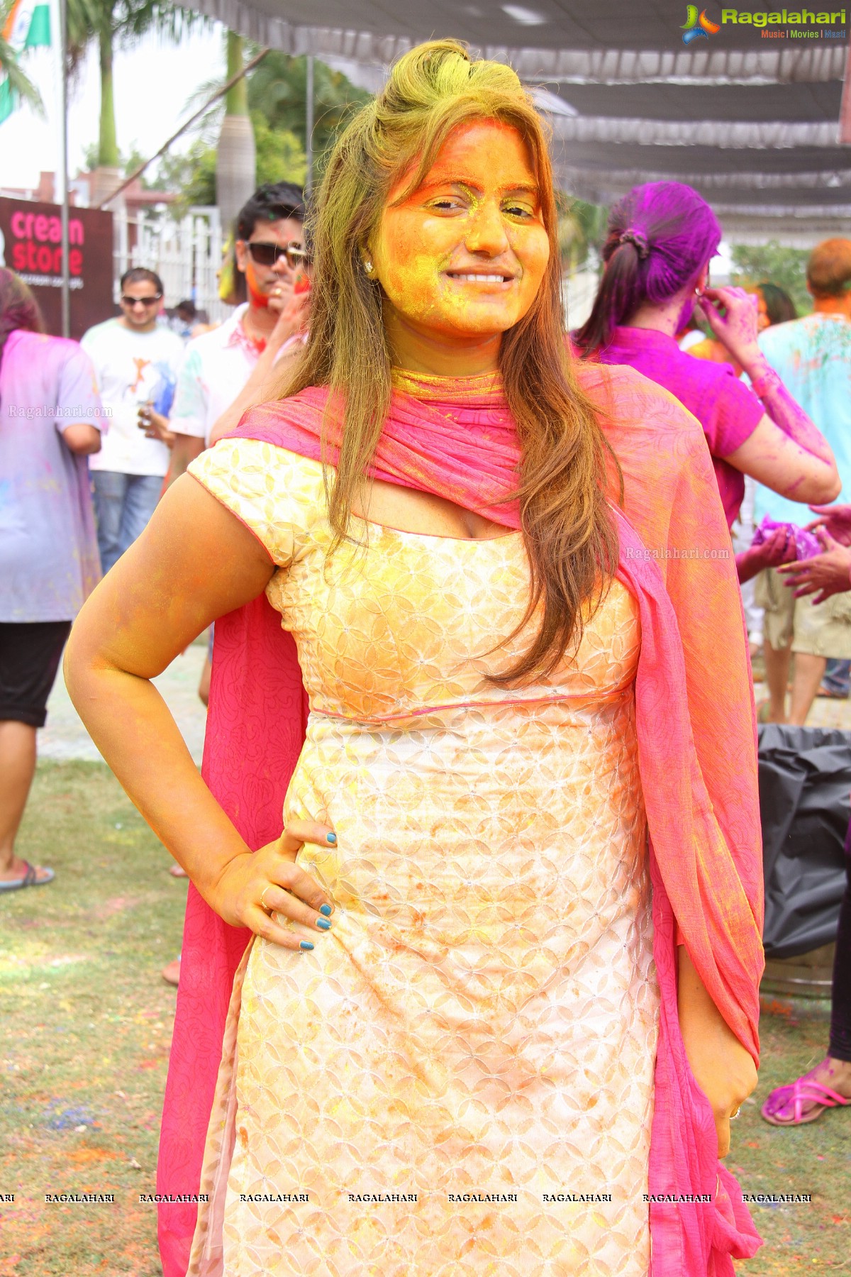 Bang Bang Holi Fest 2015 at Novotel, Hyderabad