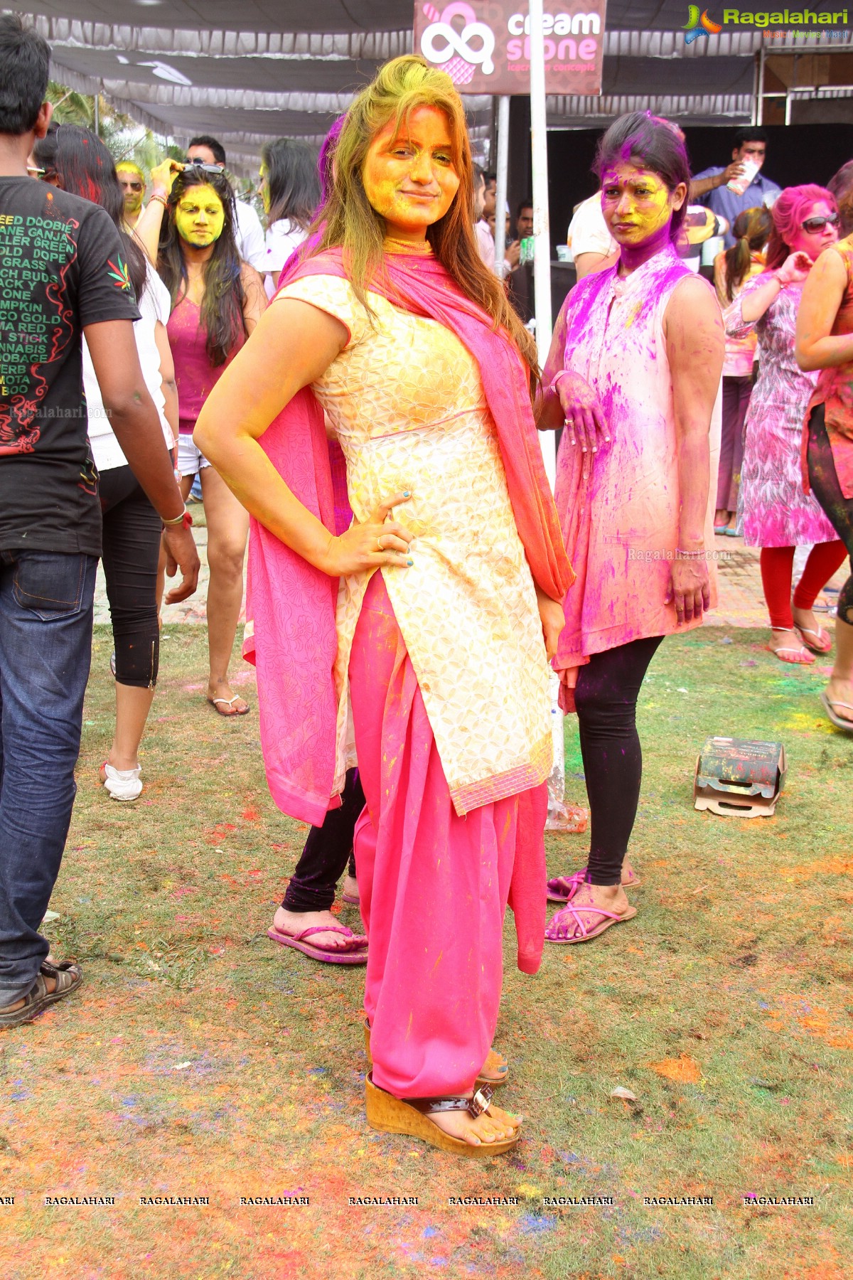 Bang Bang Holi Fest 2015 at Novotel, Hyderabad