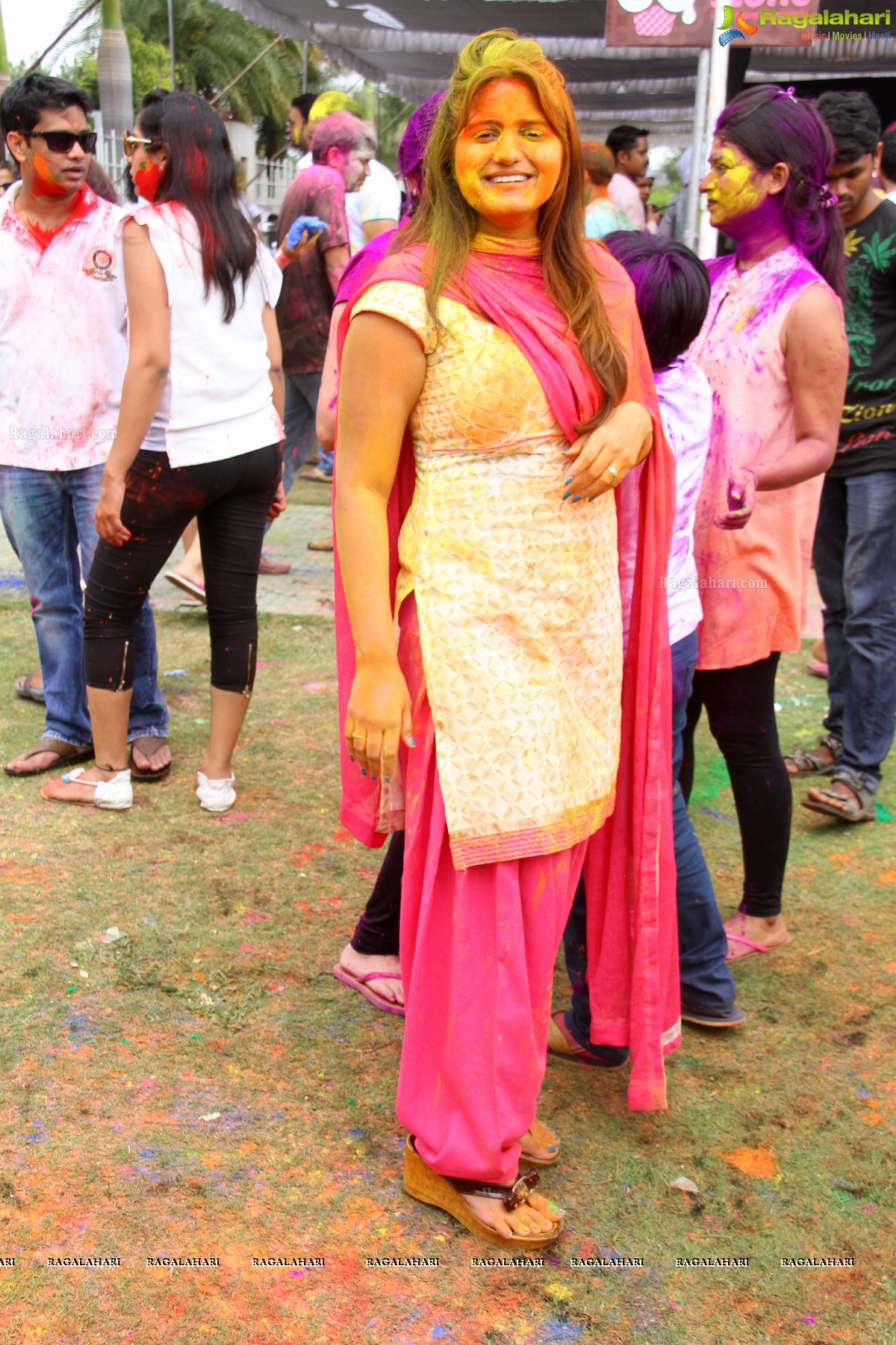 Bang Bang Holi Fest 2015 at Novotel, Hyderabad