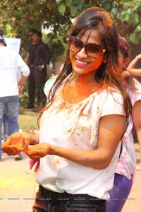 Bang Bang Holi Fest 2015