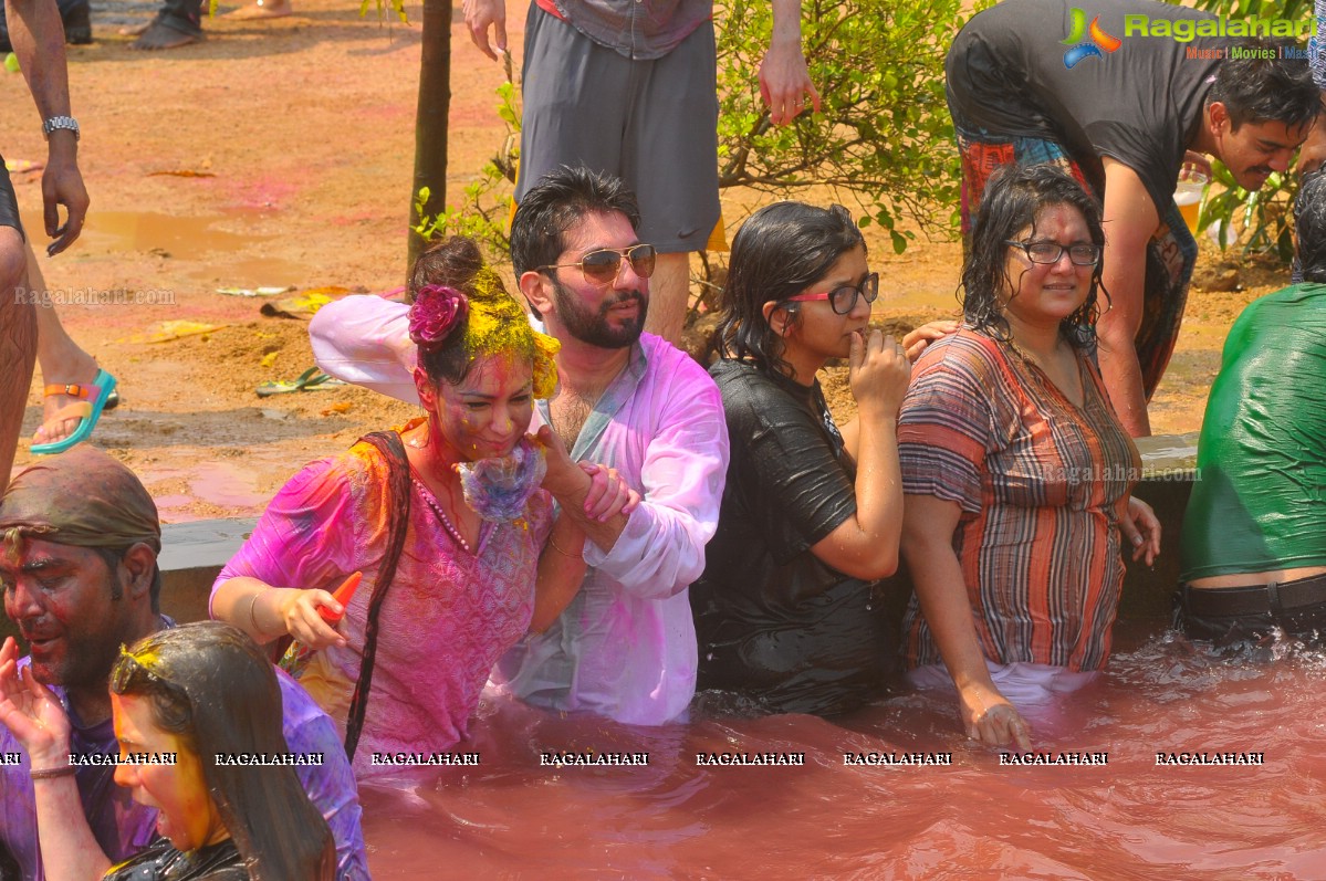 Holi Celebrations 2015 at Bhoot Bhavan, Hyderabad