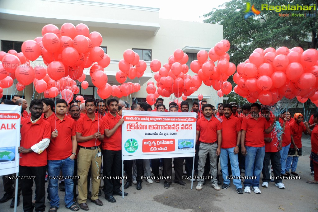 Glaucoma Awareness Walk 2015, Hyderabad