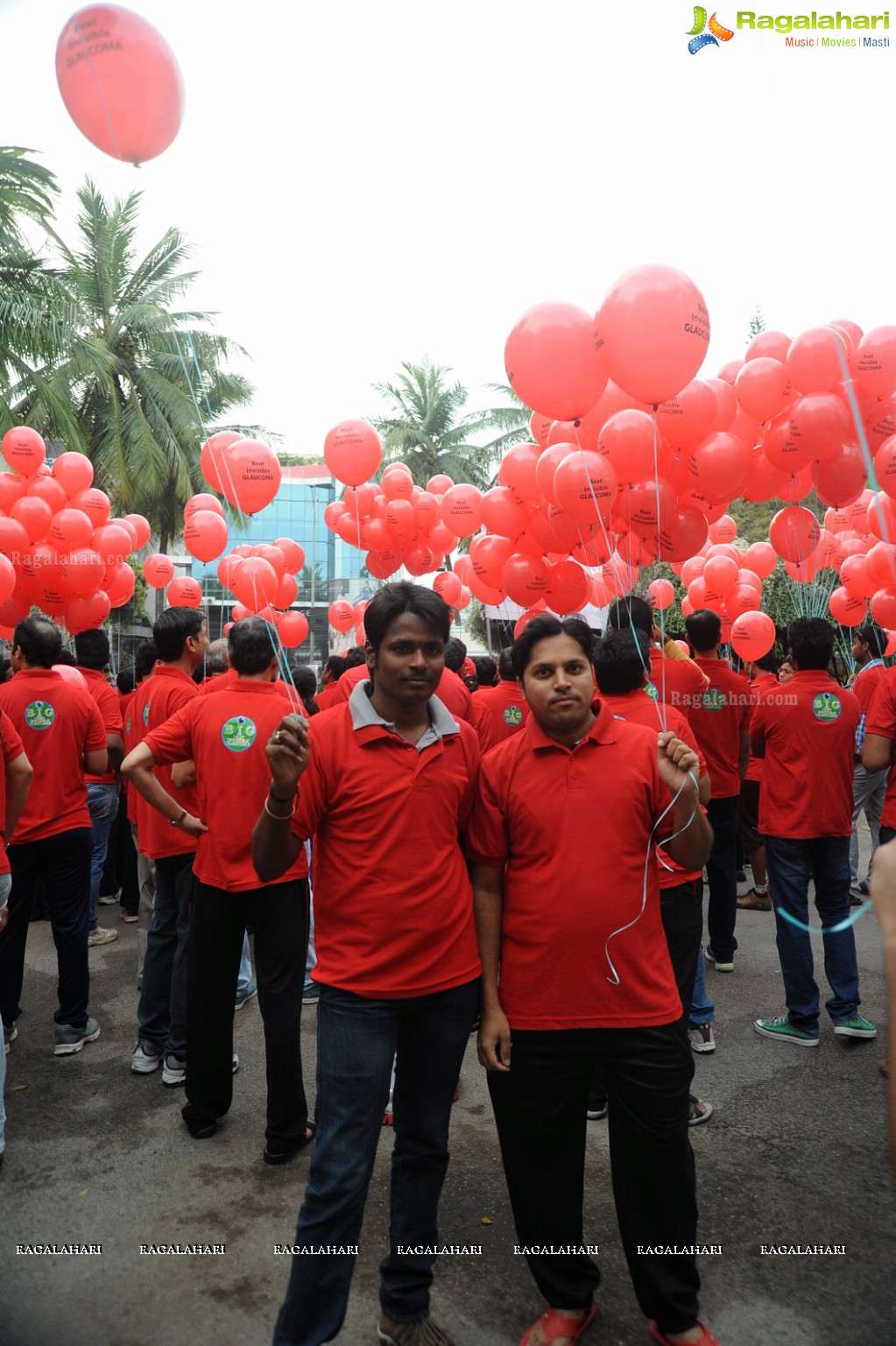 Glaucoma Awareness Walk 2015, Hyderabad