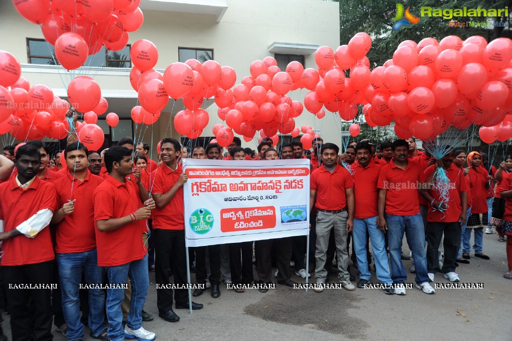 Glaucoma Awareness Walk 2015, Hyderabad