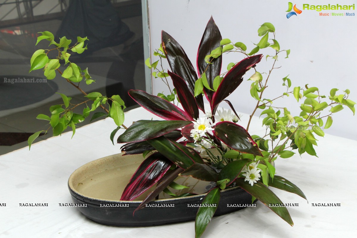 Guru Samhitha - Annual Ikebana Exhibition