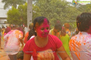 Ramada Manohar Holi