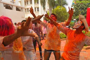 Ramada Manohar Holi