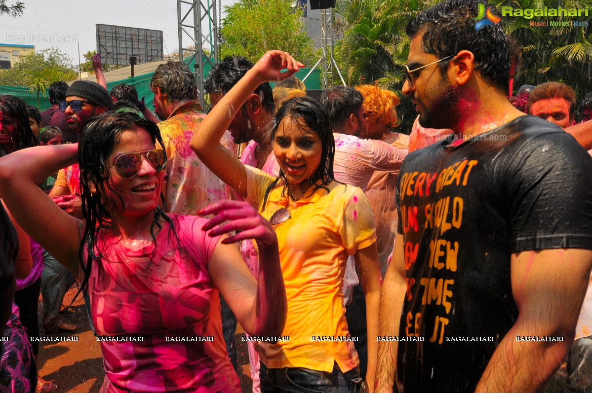 Holi Celebrations 2015 at Ramada Manohar, Hyderabad