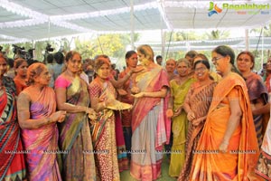 Governor Narasimhan Holi Celebrations