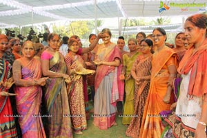 Governor Narasimhan Holi Celebrations