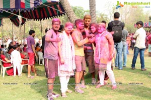 Holi Celebrations